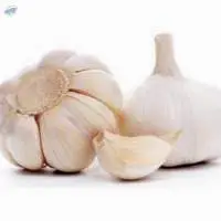 Fresh White Garlic (Pure White Garlic)