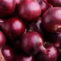 Fresh Red Onion