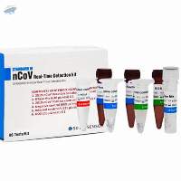 RT PCR-Detection Kit