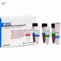RT PCR-Detection Kit