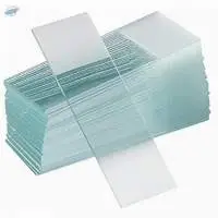 Microscope Glass Slides