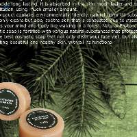 Natural Phytoncide Soap Bar