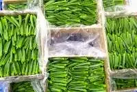 Lady Finger