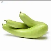 Bottle Gourd