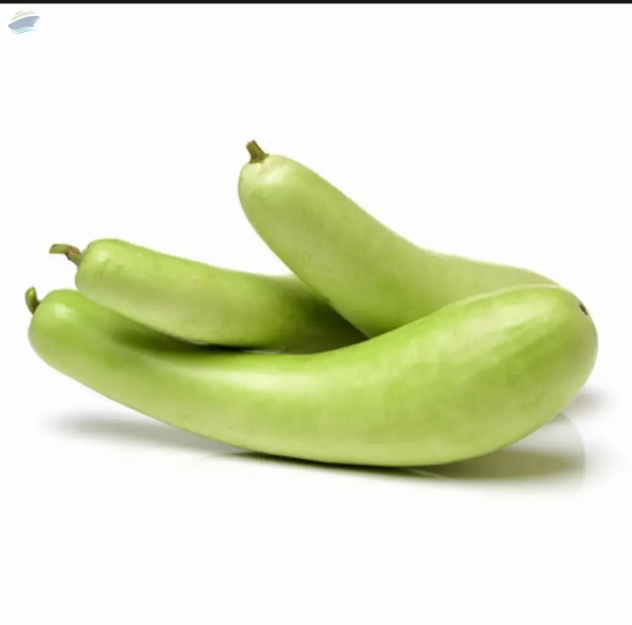 Bottle Gourd