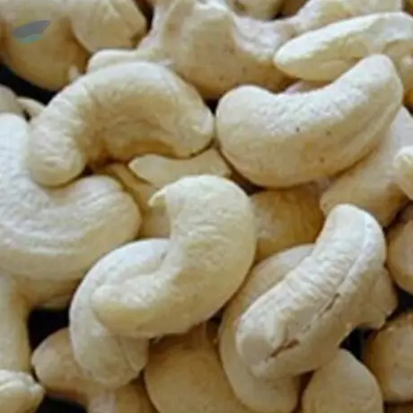 Cashew - W320