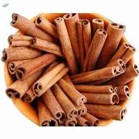 Stick Cassia