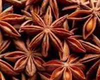 Star Aniseed
