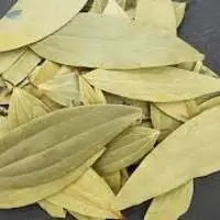 Bay Leaves