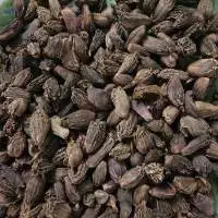 Black Cardamom