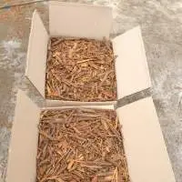 Cassia Broken