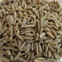 Cumin Seed