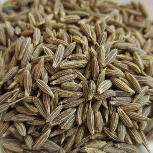Cumin Seed