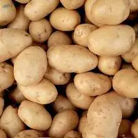 Potatoes