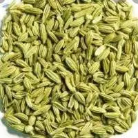 Fennel Seeds