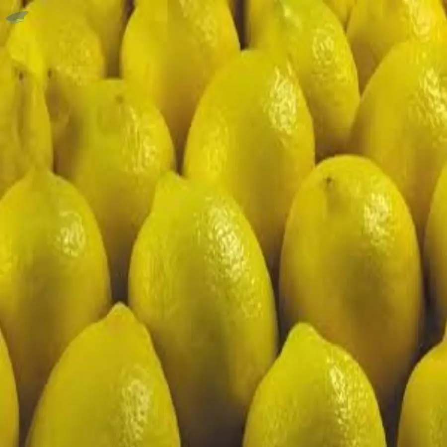 Lemon