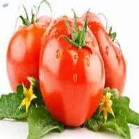 Tomato