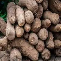 Yam