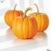 Pumpkin