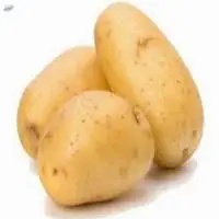 Potato