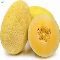 Muskmelon