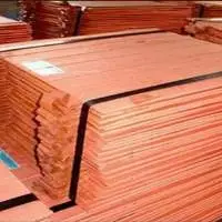 Cathodes And Semi-finished Products