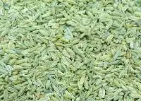 Fennel Seeds