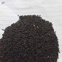 Basil seeds