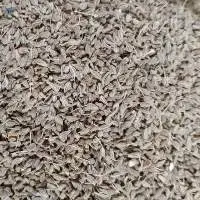 Anise Seeds