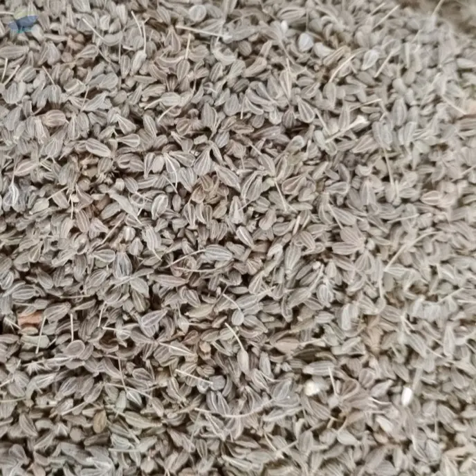 Anise Seeds