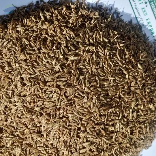 Cumin