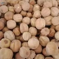 Dried Yellow Lemon