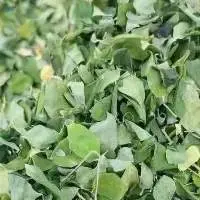 Moringa Leaves Or Powder
