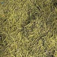 Rosemary