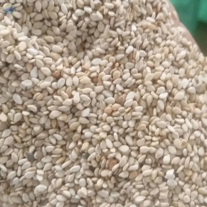 White Sesame