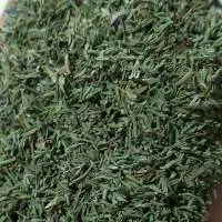 Thyme