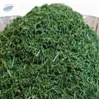 Dried Dill