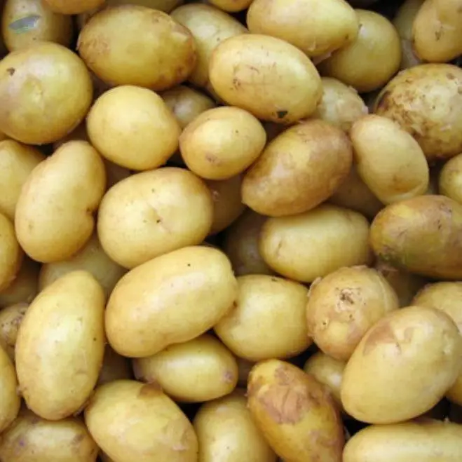 Potatoes