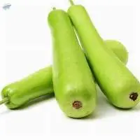 Bottle Gourd