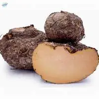 Elephant Yam