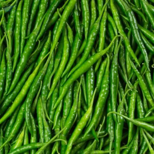Green Chillies