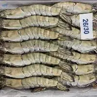 Frozen Hoso Black Tiger Shrimp