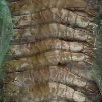 Frozen Hoso Vannamei Shrimp