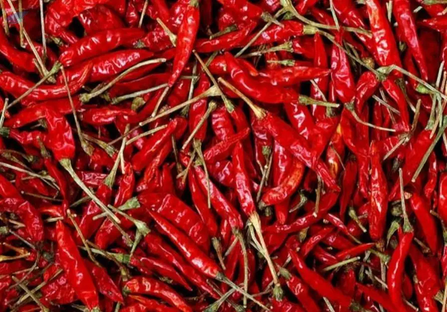 Red Dry Chillies