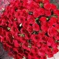 Fresh Cut Roses