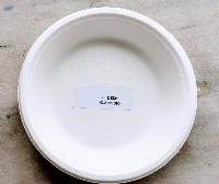 Plain Biodegradable Round Plates