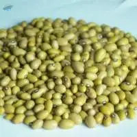 Yellow Kidney Beans