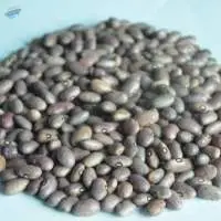 Beans