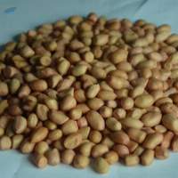 Brown Ground Nuts