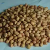 Brown Ground Nuts